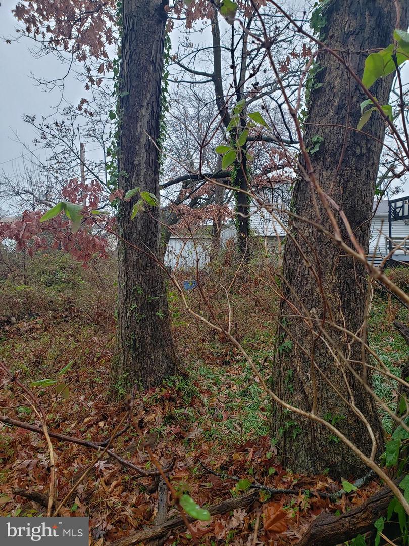 John Ave Property Photo 15