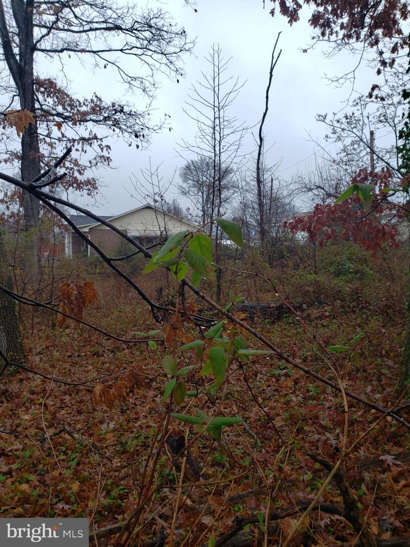 John Ave Property Photo 16