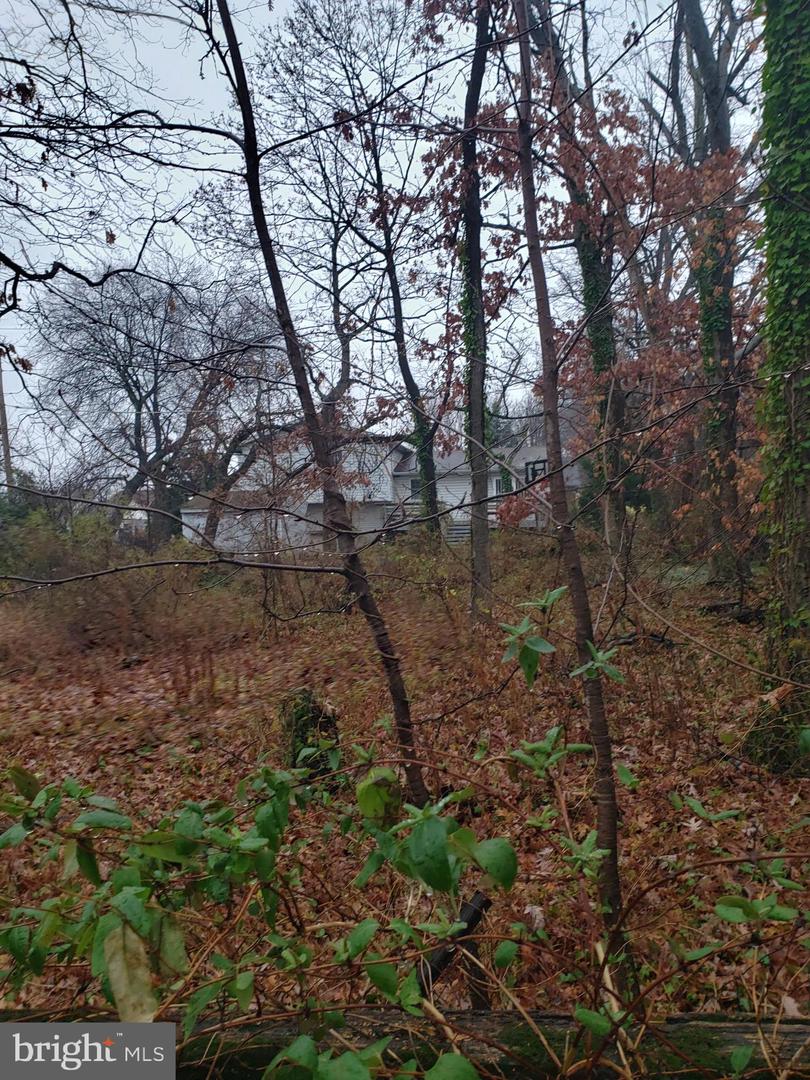 John Ave Property Photo 19