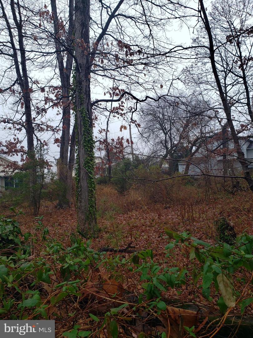 John Ave Property Photo 20