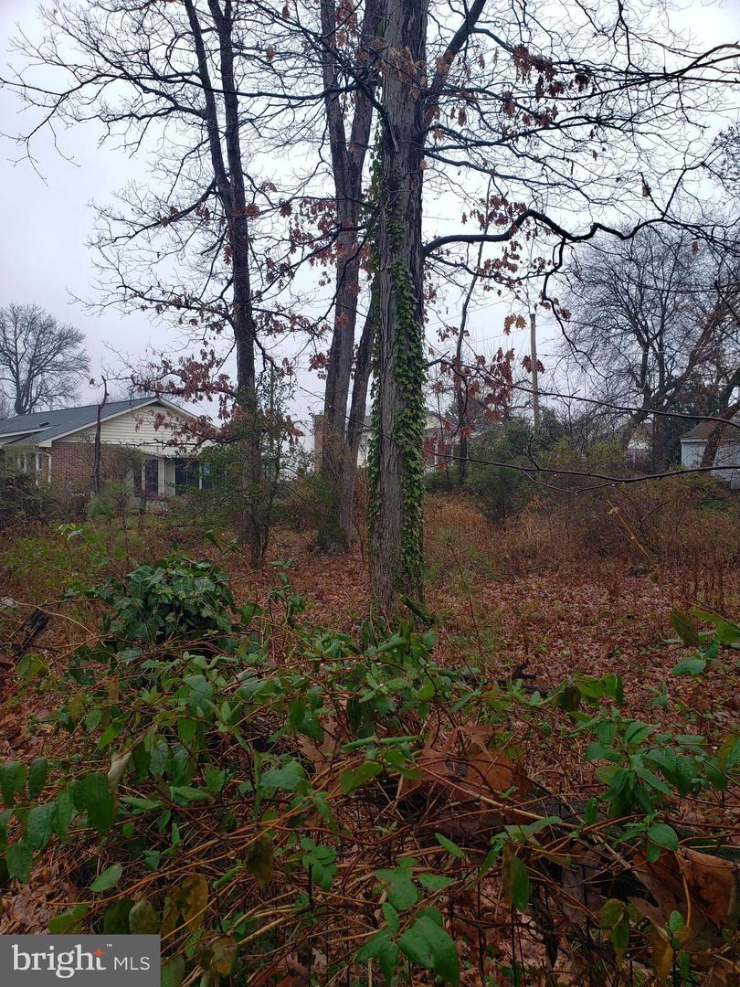 John Ave Property Photo 21