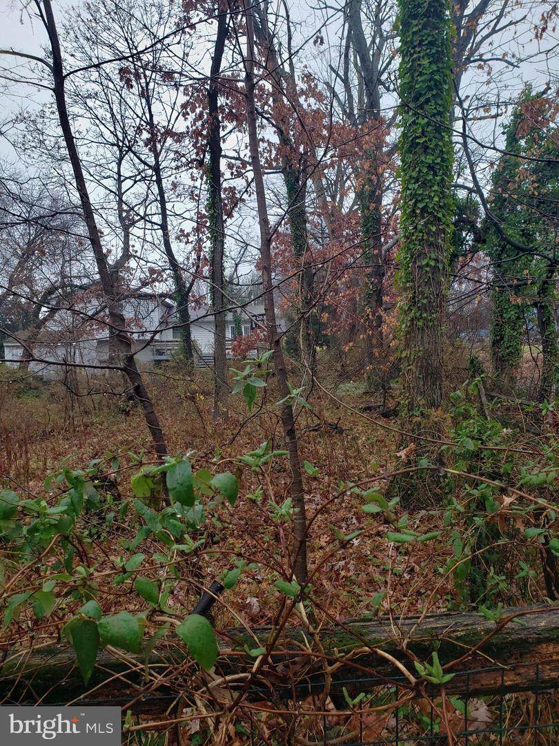 John Ave Property Photo 22