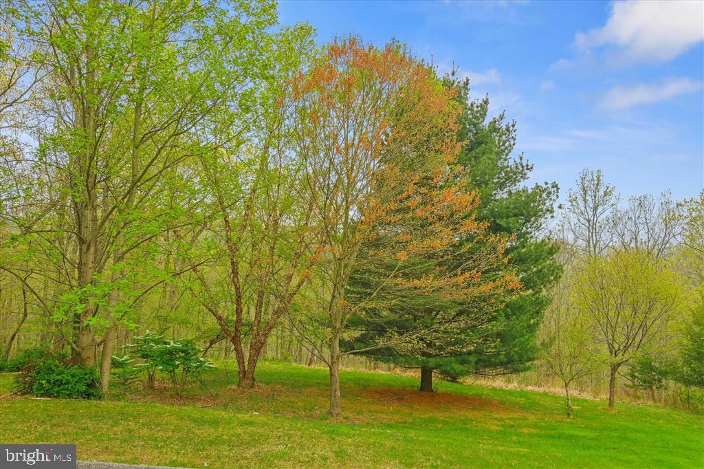 13036 Jerome Jay Dr Property Photo 1