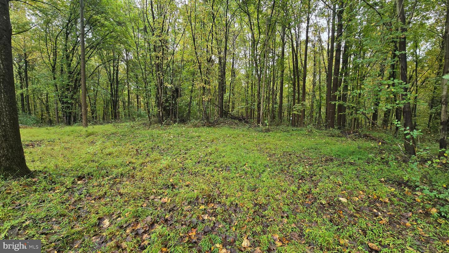 104 Dotsam Rd Property Photo