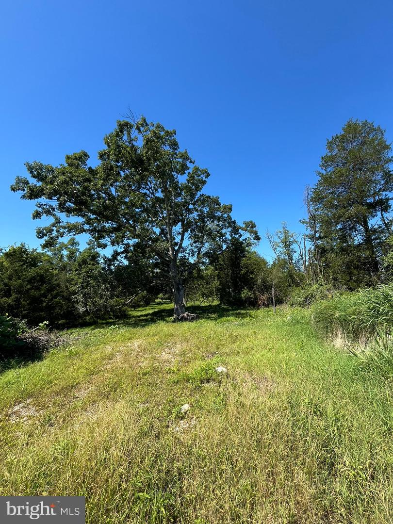 Dogwood Rd Property Photo 5