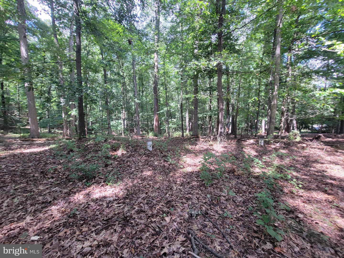 1306 Ivy Hill Rd Property Photo