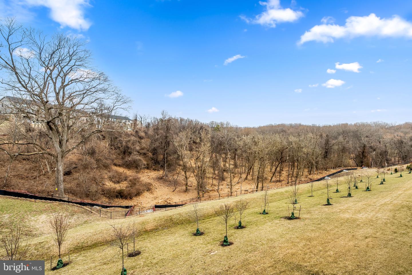 240 Hickory Hollow Ct Property Photo 8