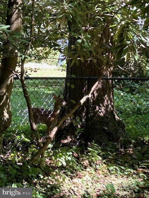 605 Upland Rd Property Photo 44