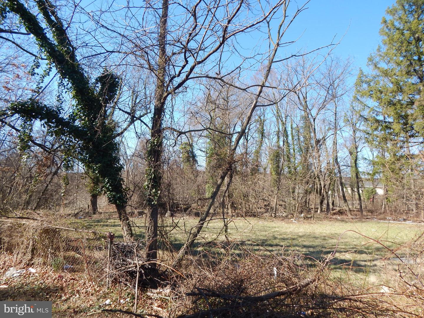 611 Stoney Ln Property Photo 50