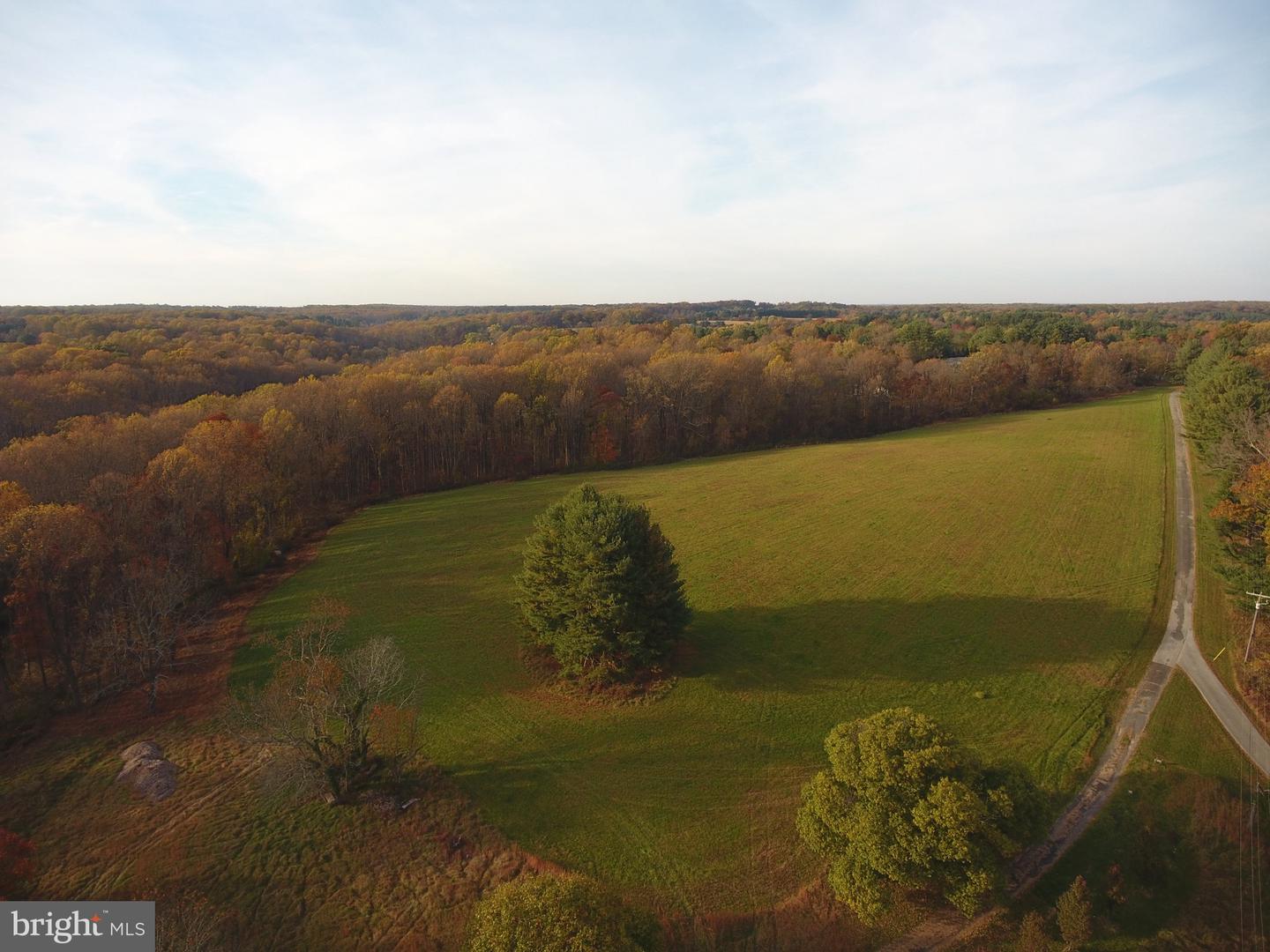 1503 Peachwood Lane Property Photo 3
