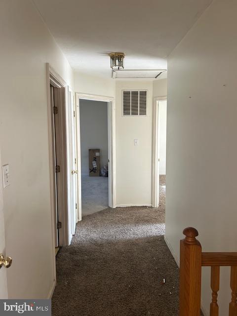 3816 Green Ash Ct Property Photo 21