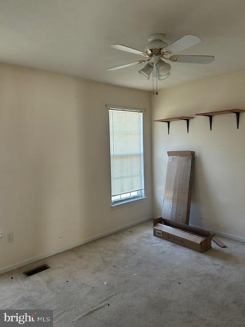3816 Green Ash Ct Property Photo 23