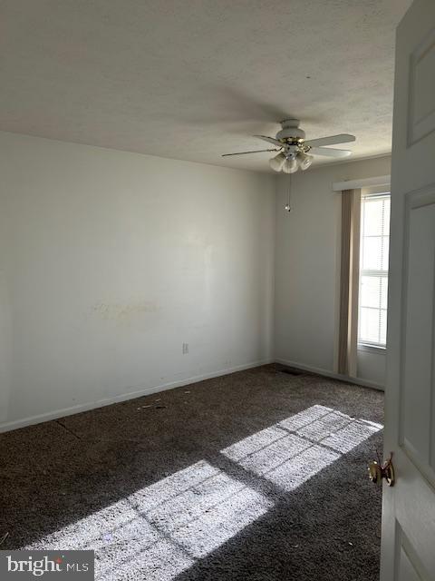 3816 Green Ash Ct Property Photo 24