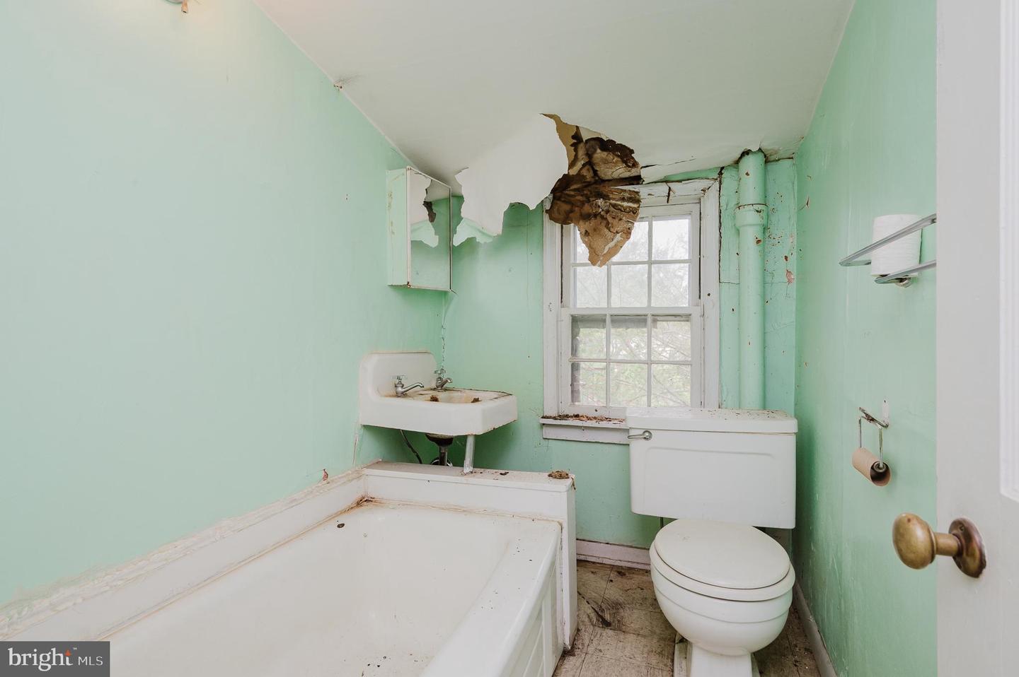 52 Sherwood Rd Property Photo 59
