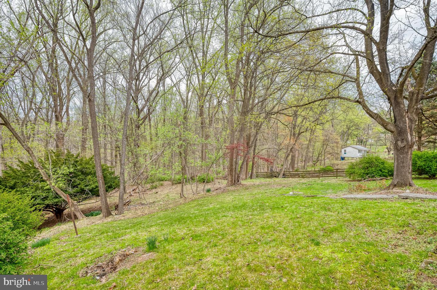 52 Sherwood Rd Property Photo 76