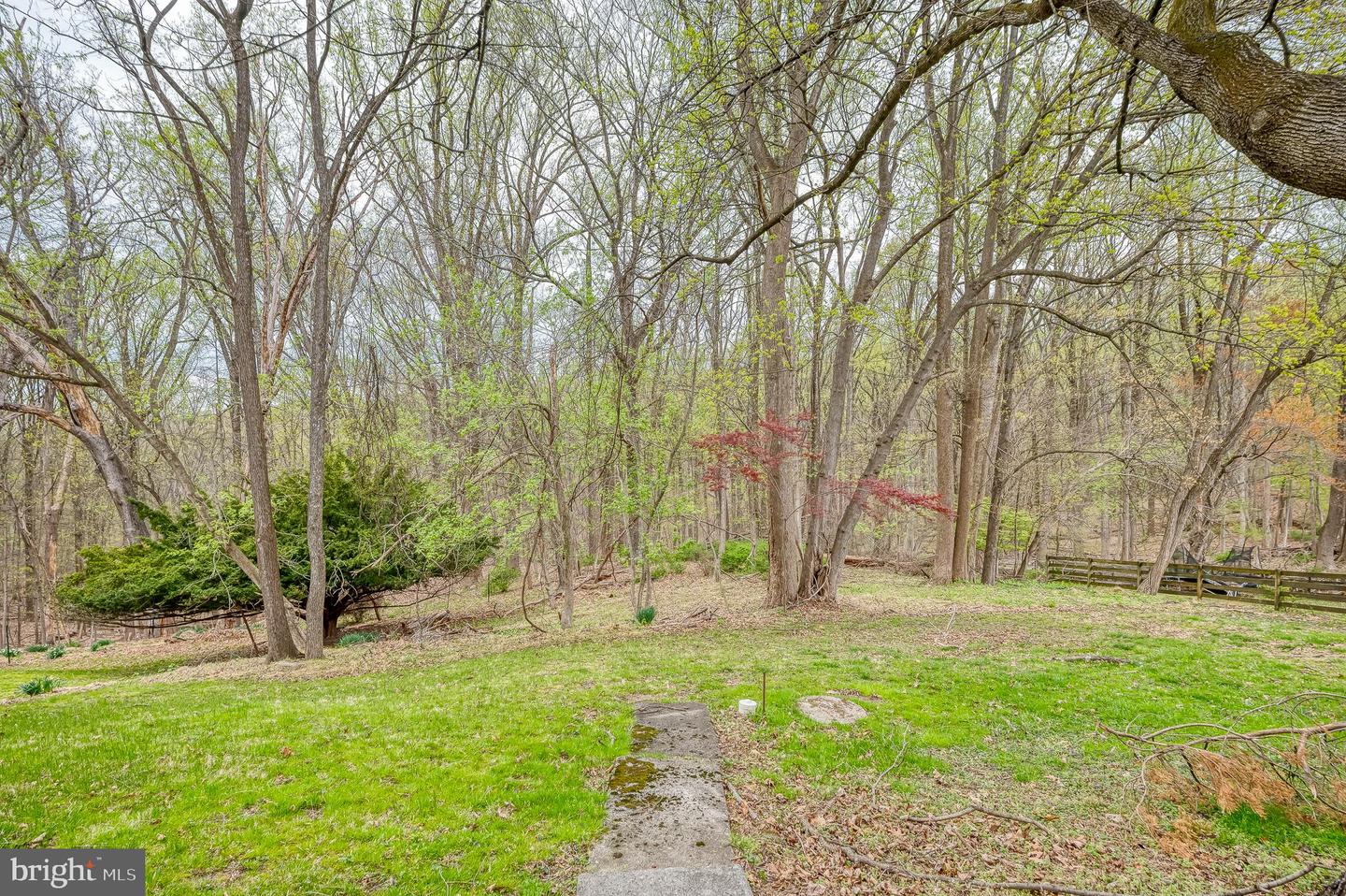 52 Sherwood Rd Property Photo 77