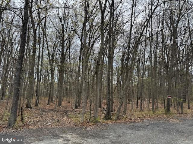 1145 Bengies Rd Property Photo 2