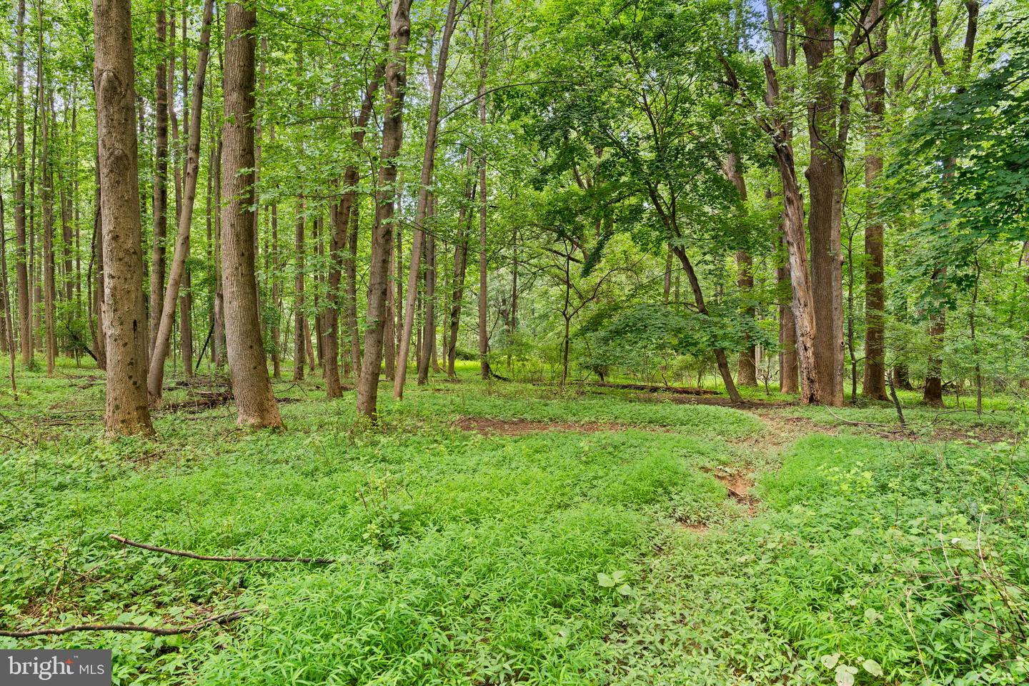 3320 Offutt Rd Property Photo 9