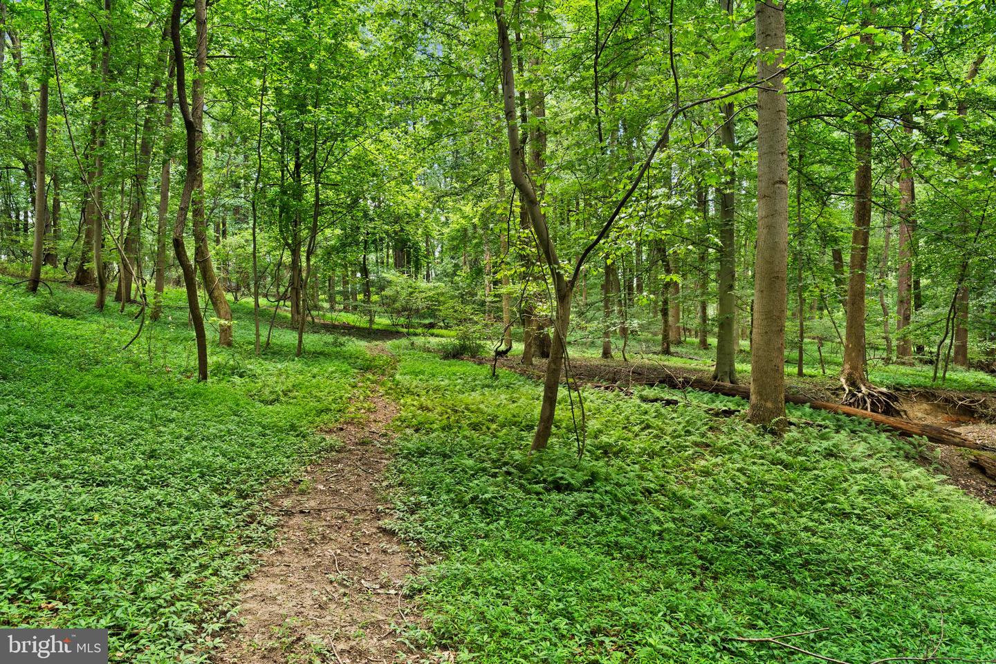 3320 Offutt Rd Property Photo 11