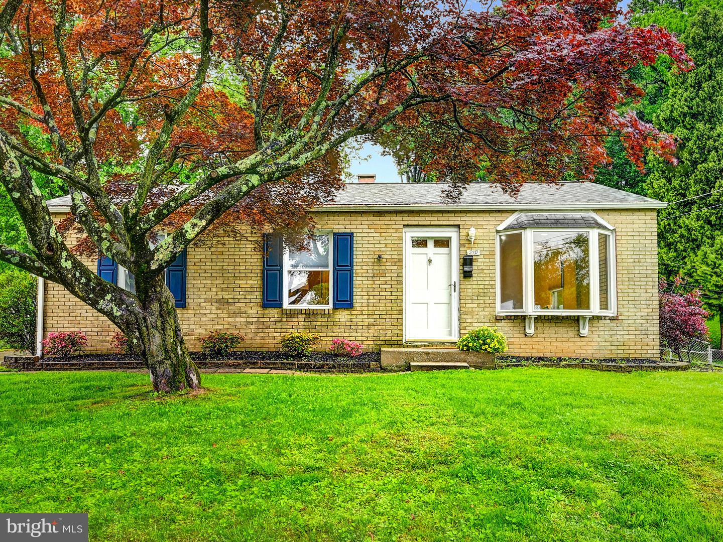 219 Greenview Ave Property Photo