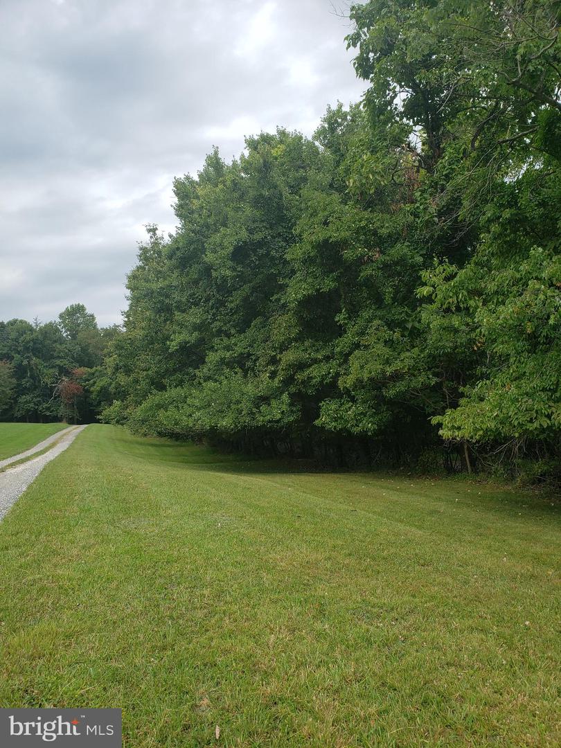 1218 Rayville Rd Property Photo 4