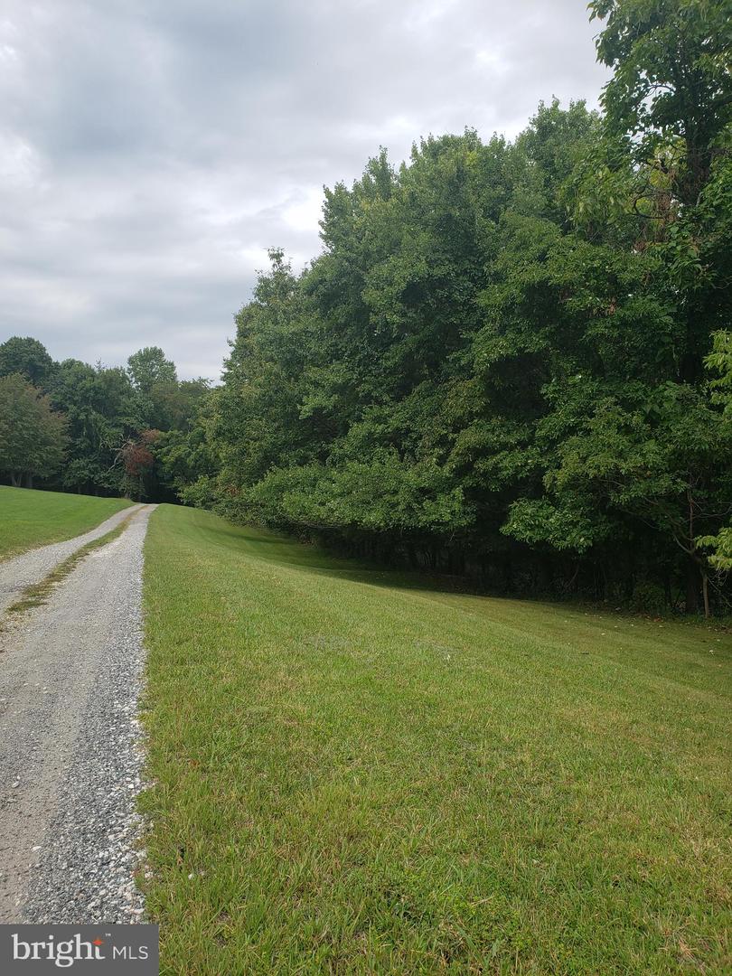 1218 Rayville Rd Property Photo 5