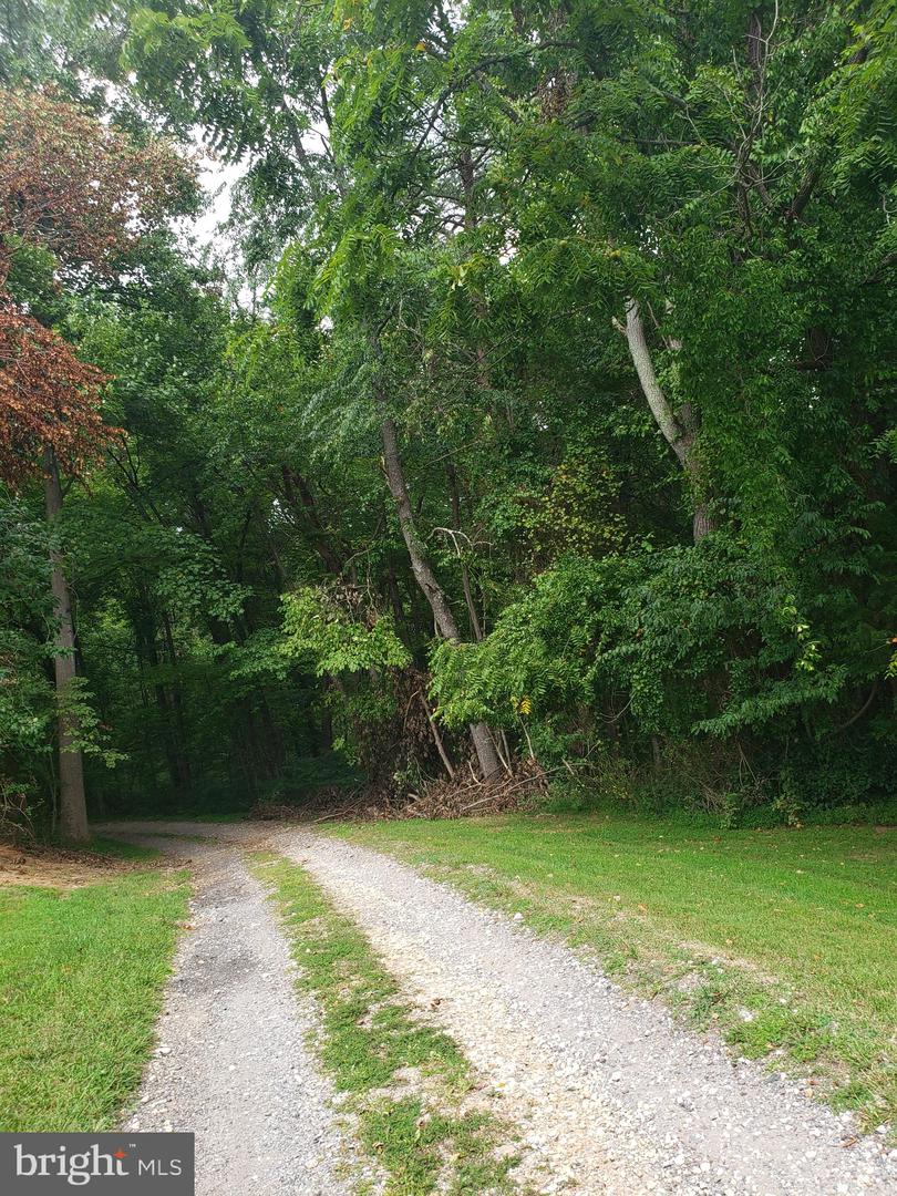 1218 Rayville Rd Property Photo 10