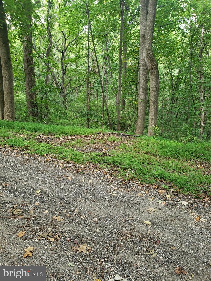 1218 Rayville Rd Property Photo 14
