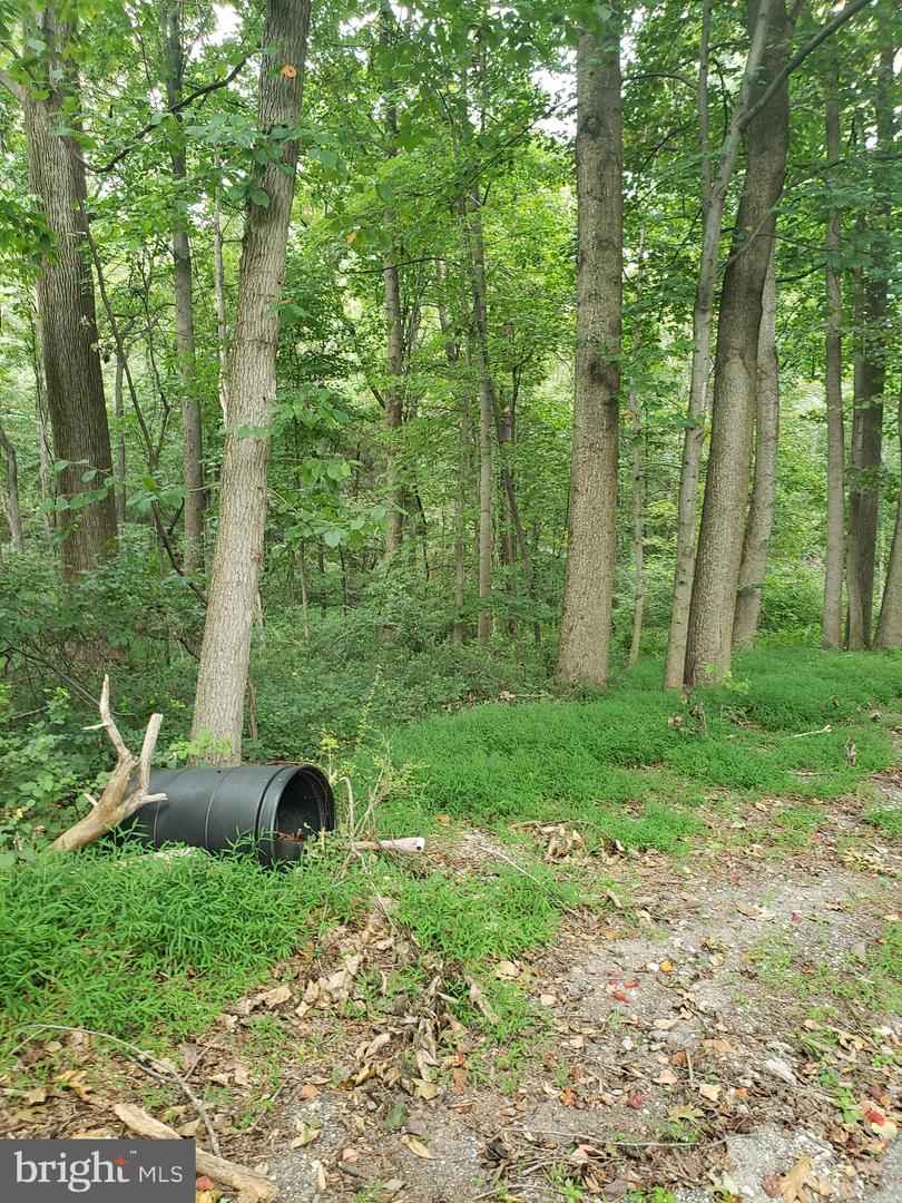 1218 Rayville Rd Property Photo 16