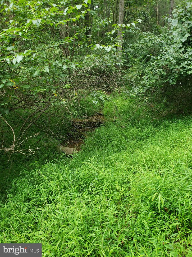 1218 Rayville Rd Property Photo 23
