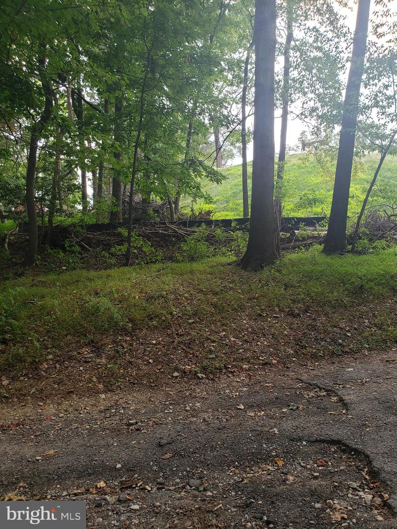 1218 Rayville Rd Property Photo 27