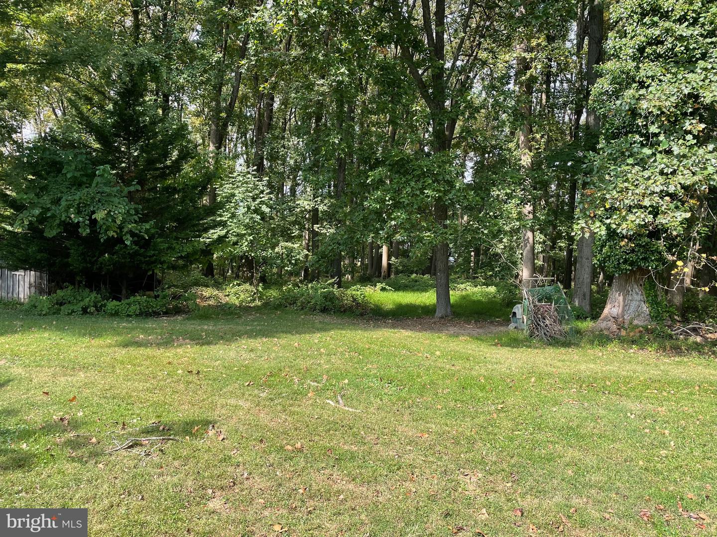 14528 Old York Property Photo 12