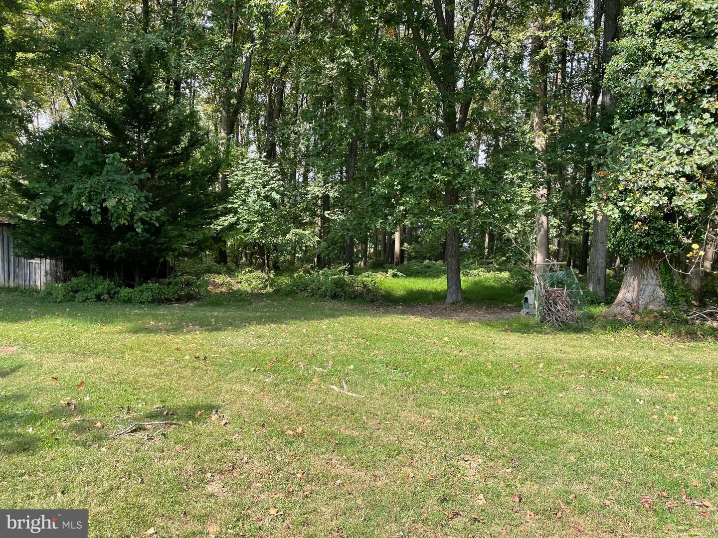 14528 Old York Property Photo 13