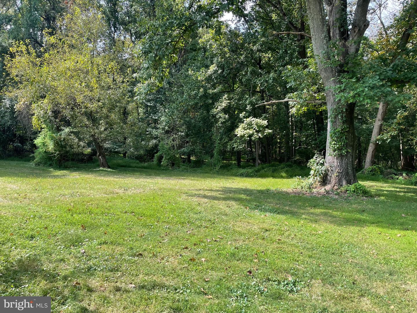 14524 Old York Property Photo 3