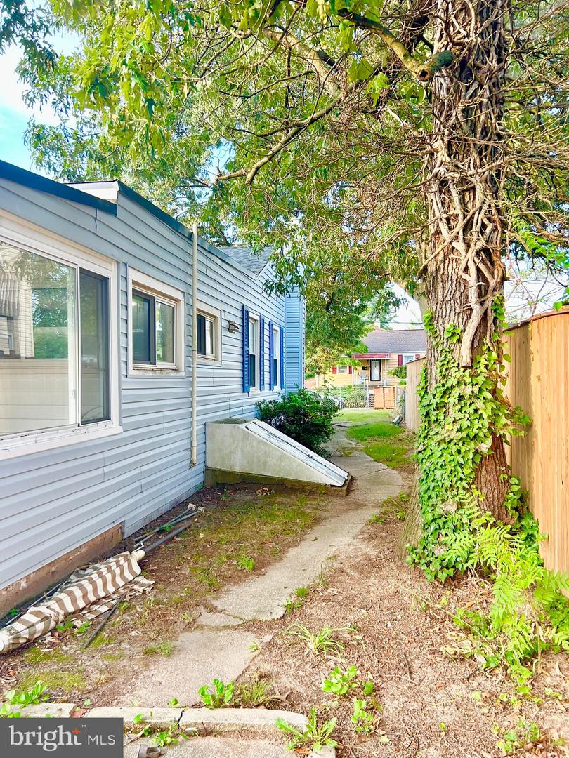 37 Walkern Rd Property Photo 23