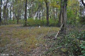 18707 Frederick Rd Property Photo 7
