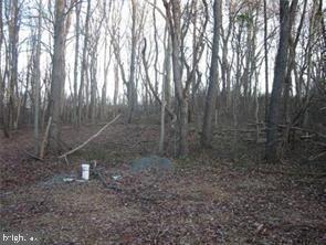 18707 Frederick Rd Property Photo 8