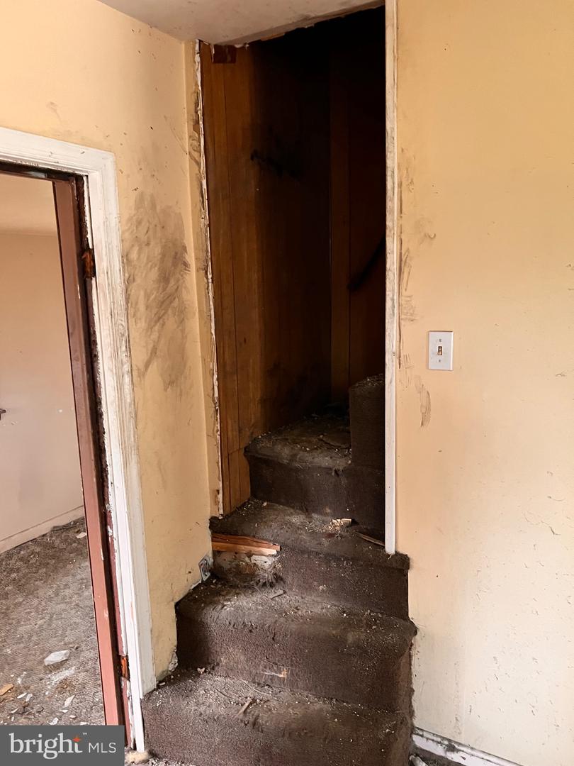518 Ingleside Ave Property Photo 36