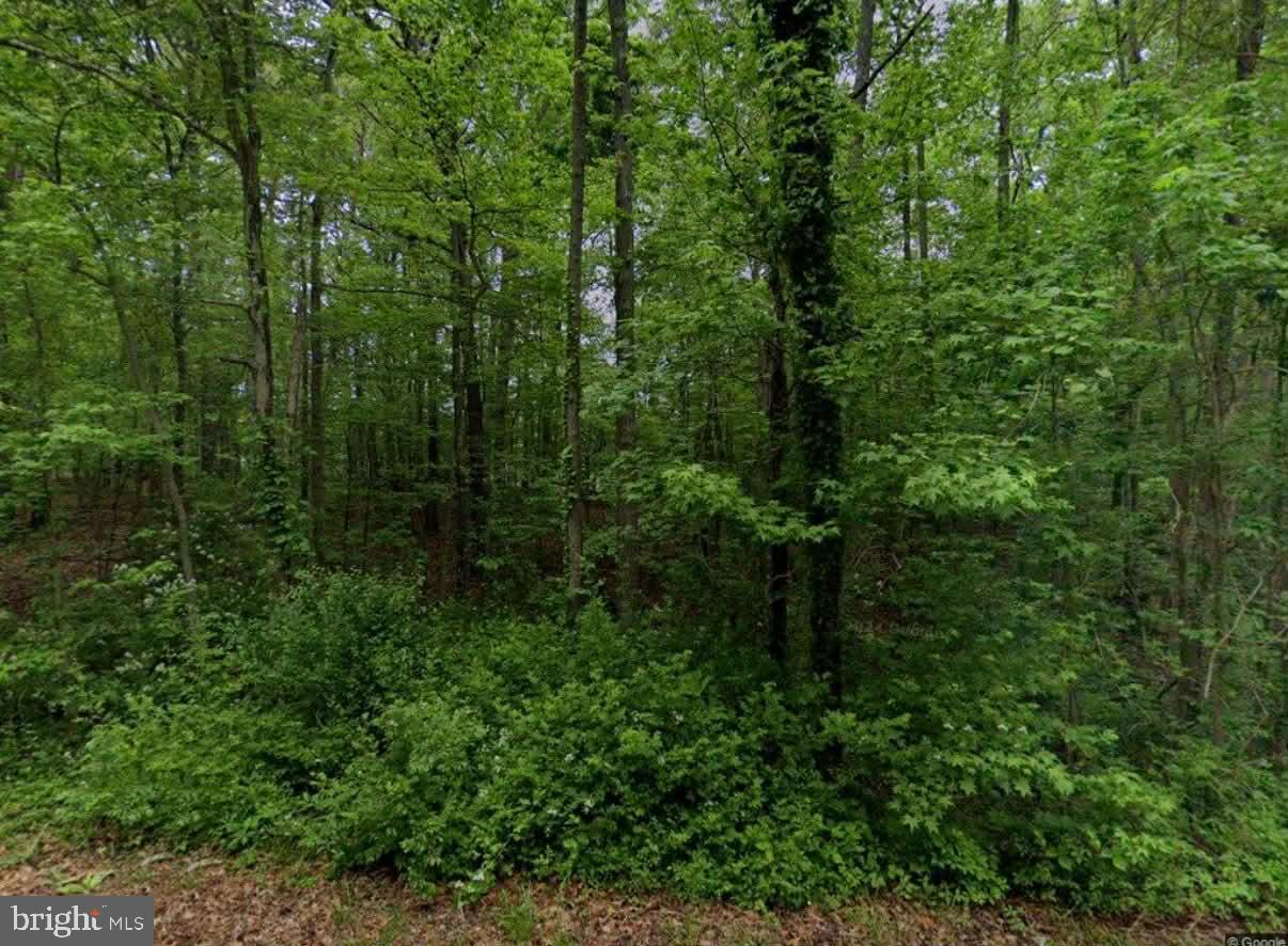 11126 Reynolds Rd Property Photo 1
