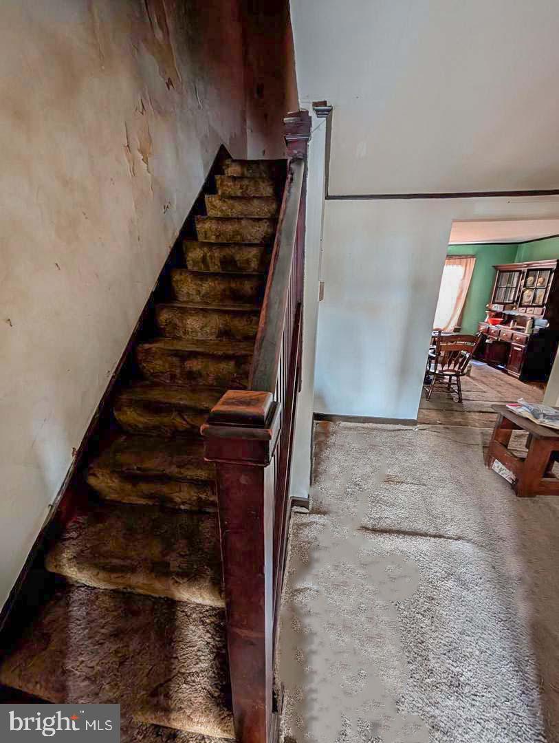 241 Colgate Ave Property Photo 5