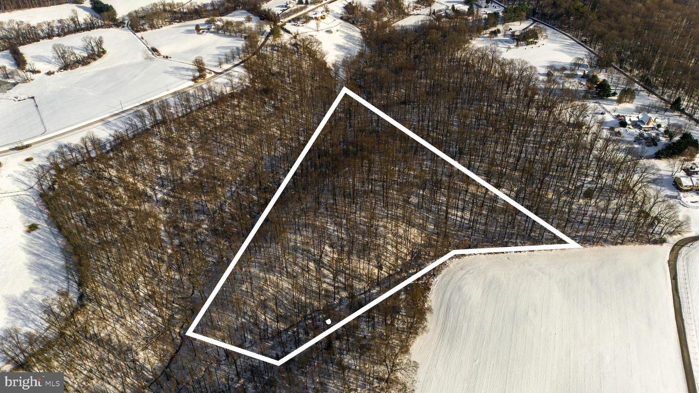 Wilson Rd Property Photo 17