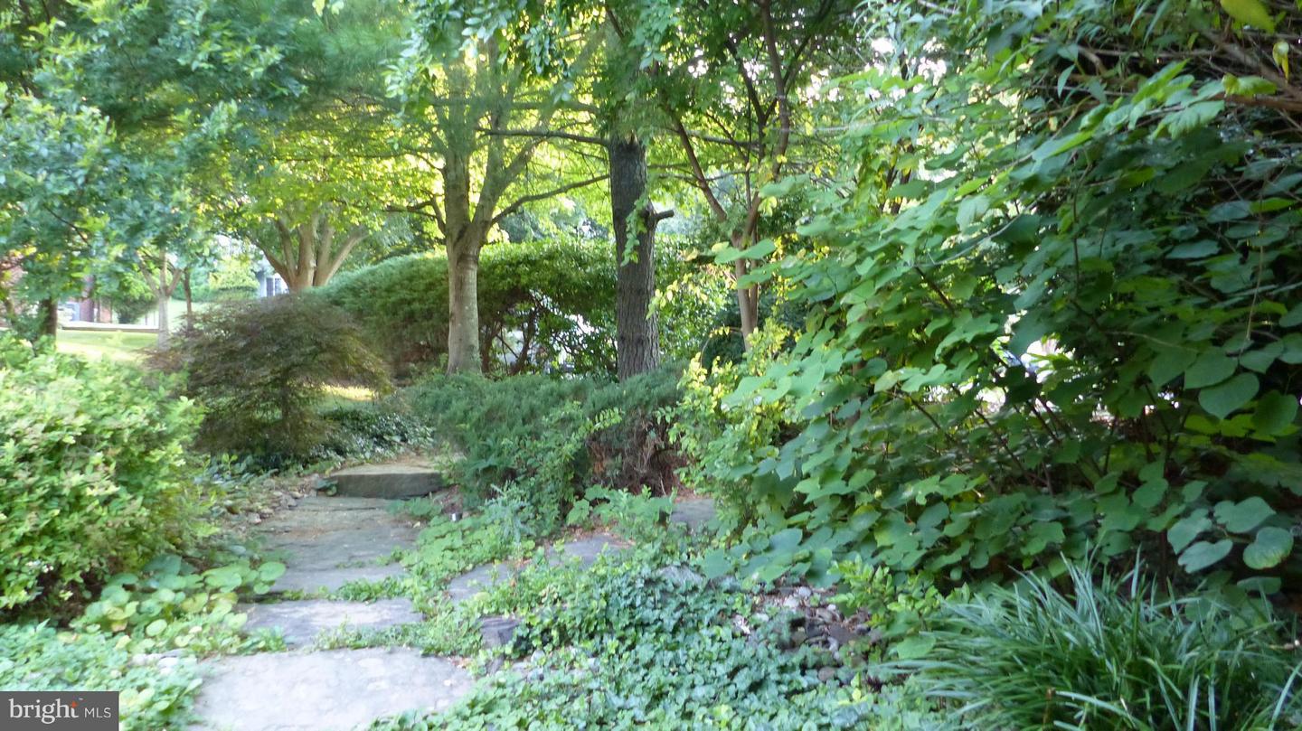 8209 Ruxton Crossing Ct Property Photo 2