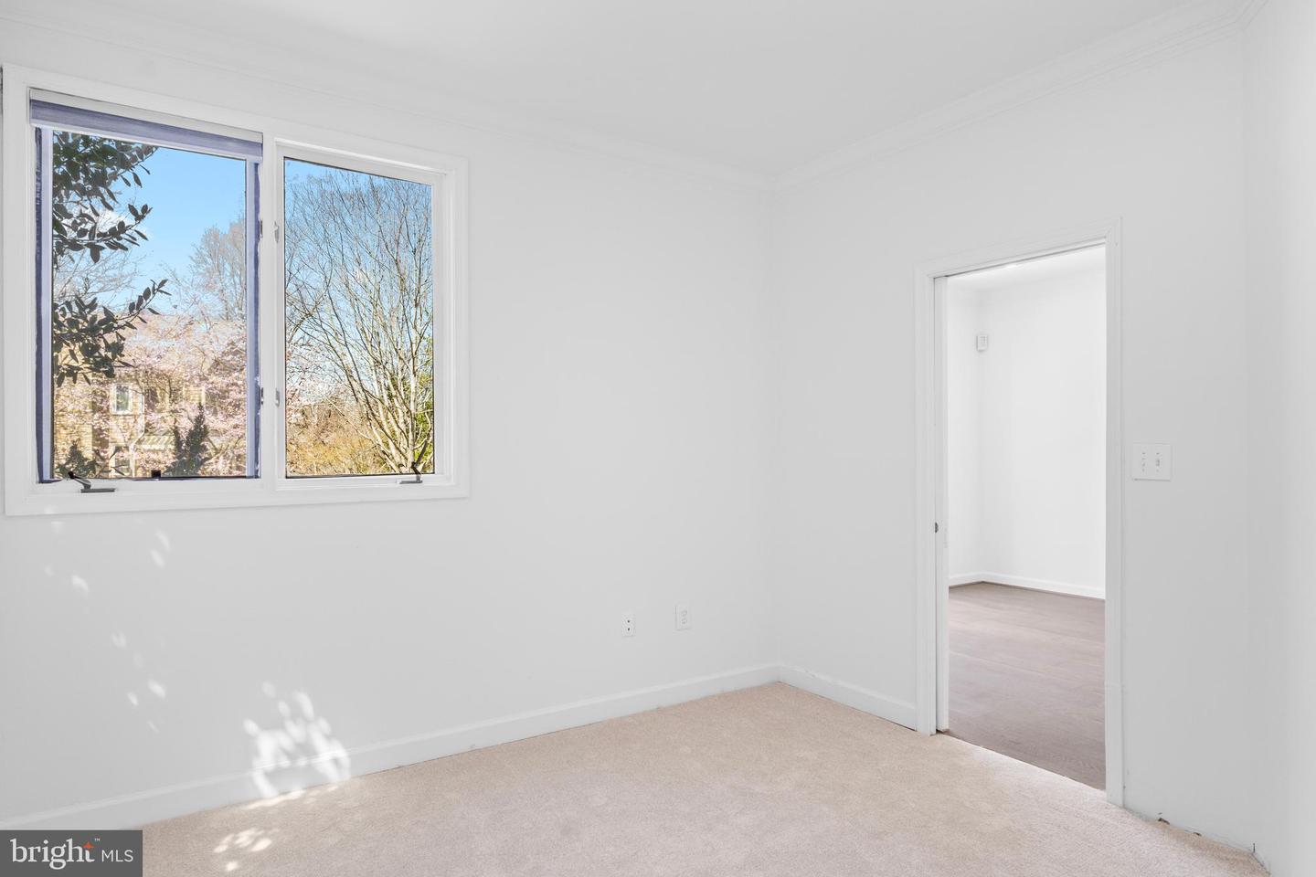 39 Stridesham Ct Property Photo 19