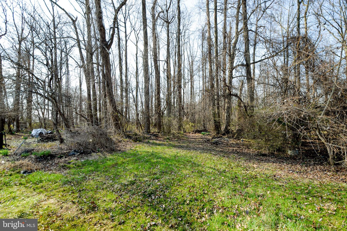 3904 Goose Harbor Rd Property Photo 4