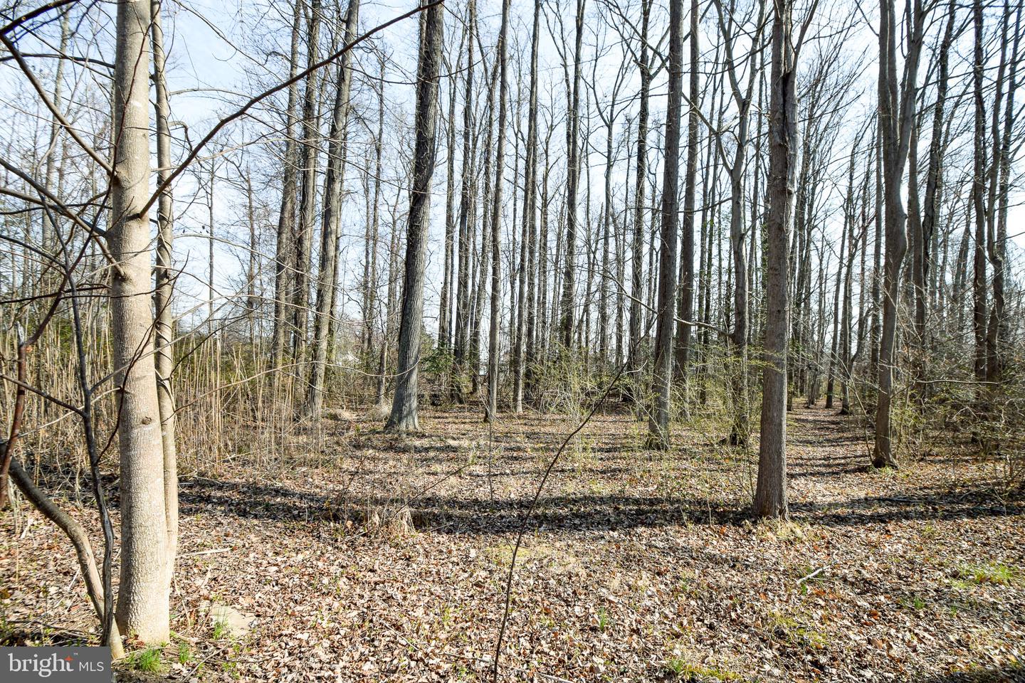 3904 Goose Harbor Rd Property Photo 5