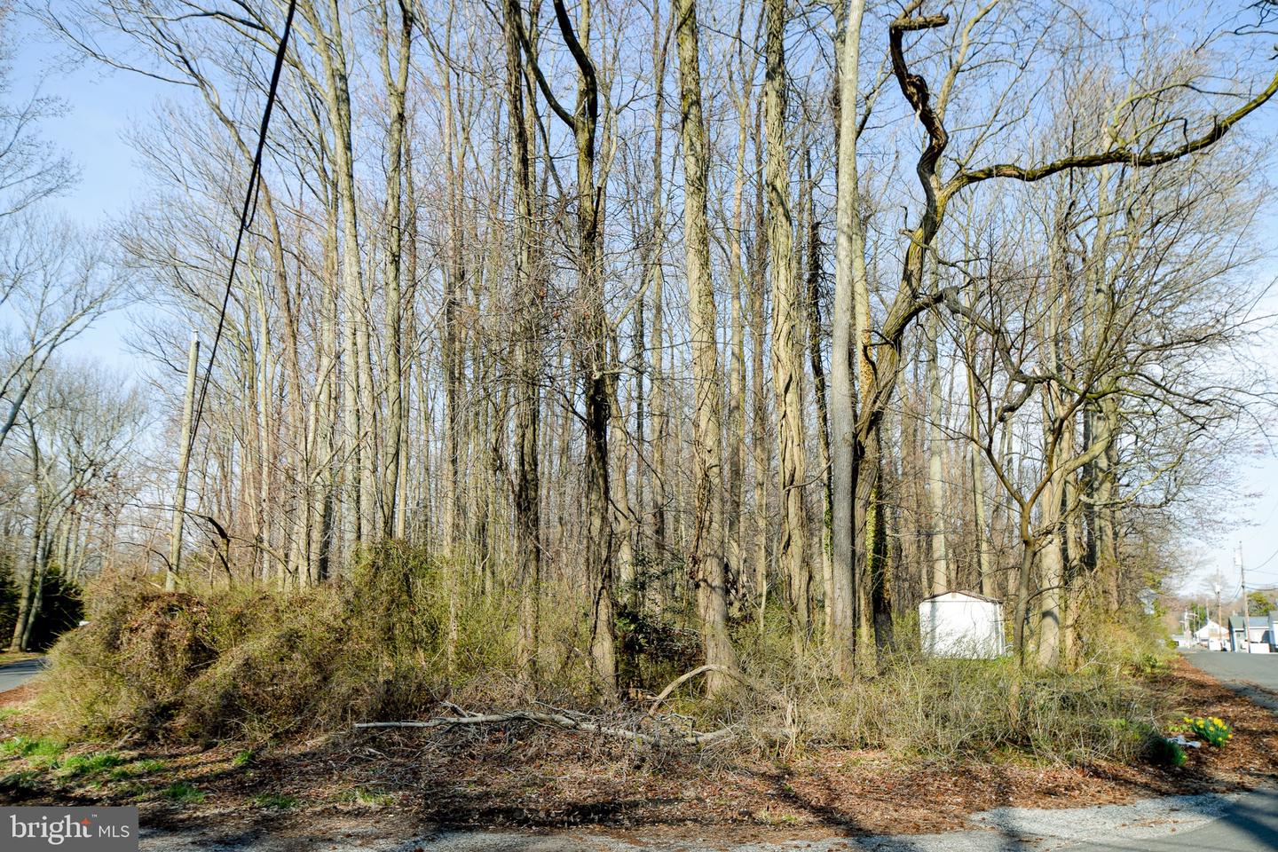 3904 Goose Harbor Rd Property Photo 12