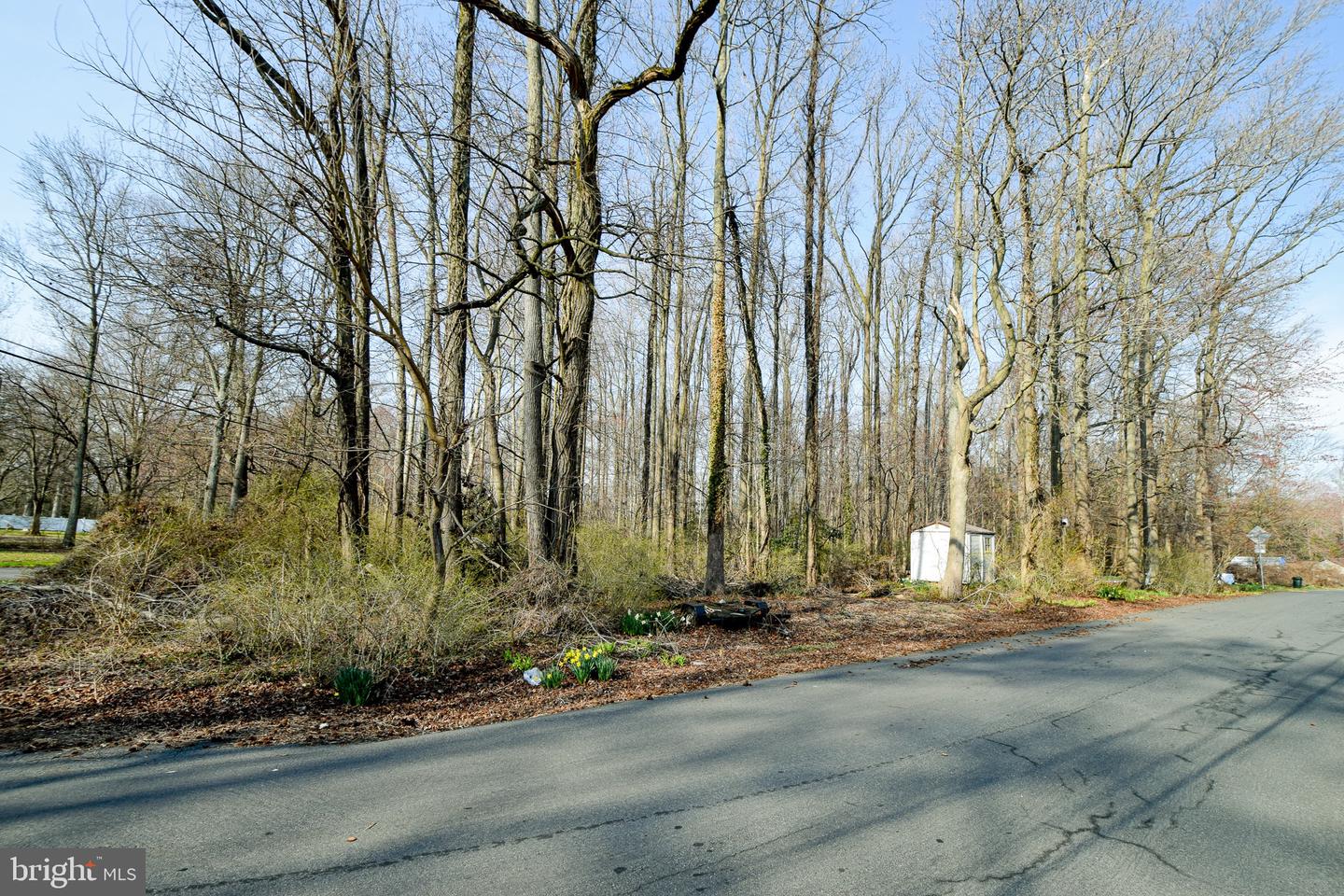 3904 Goose Harbor Rd Property Photo 13