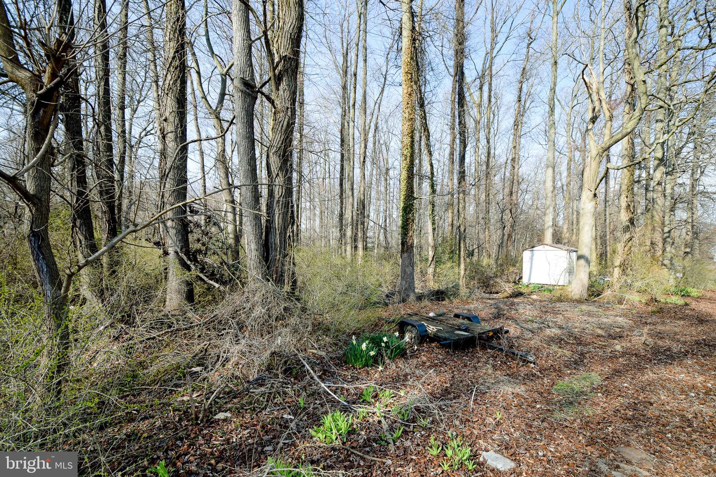 3904 Goose Harbor Rd Property Photo 14