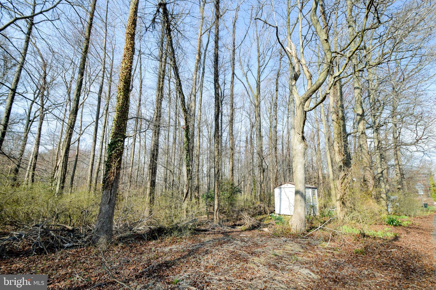 3904 Goose Harbor Rd Property Photo 15