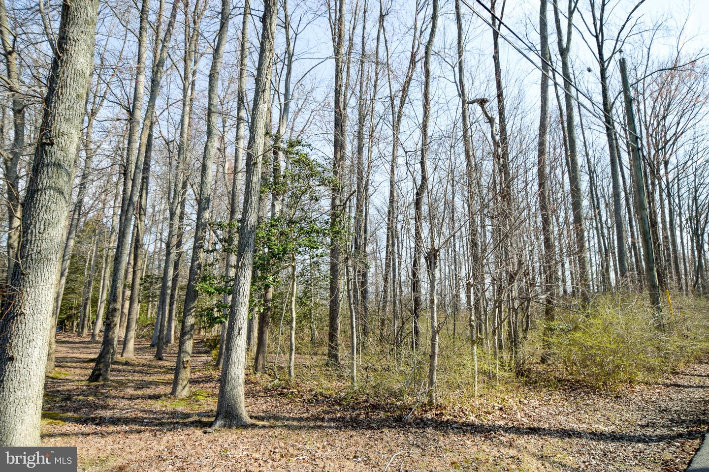 3904 Goose Harbor Rd Property Photo 17